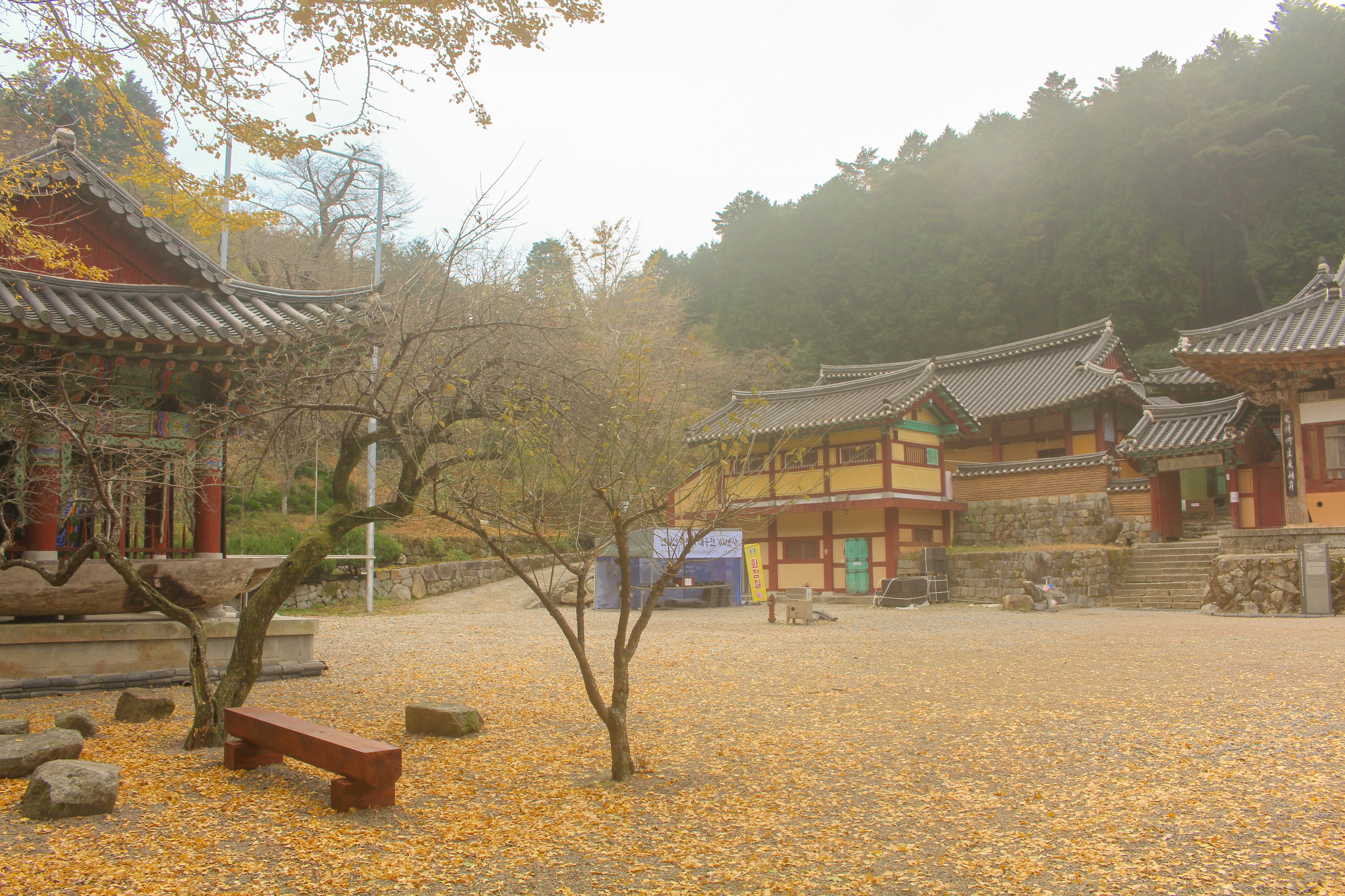 옥천사